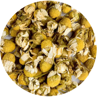 Chamomile