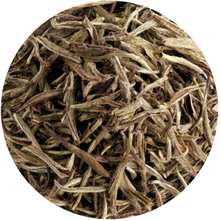 Silver Needle